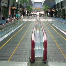 China auto moving  sidewalk